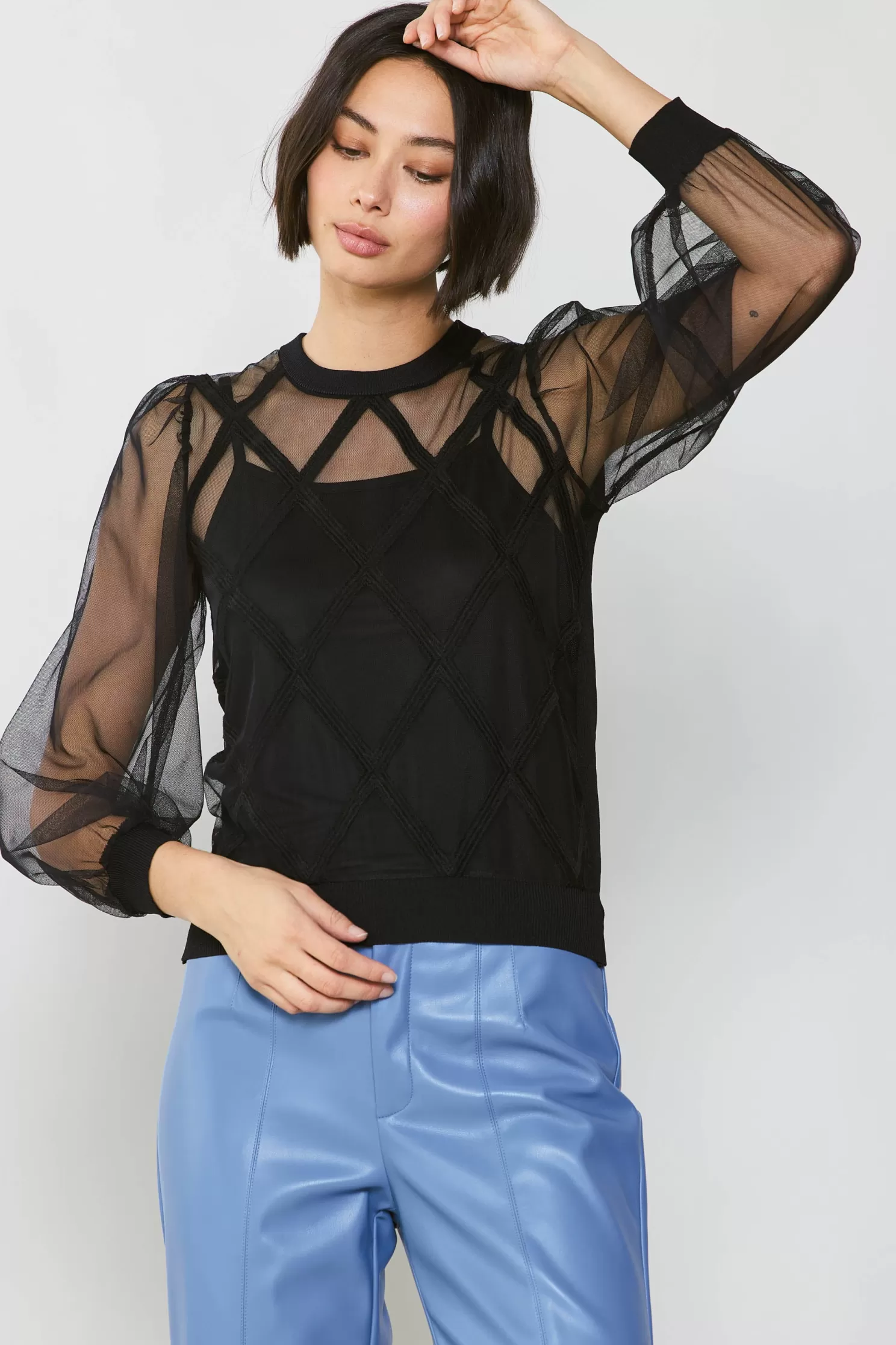 Fashion Sheer Crosshatch Cami-lined Top Sweaters | Long Sleeve Tops