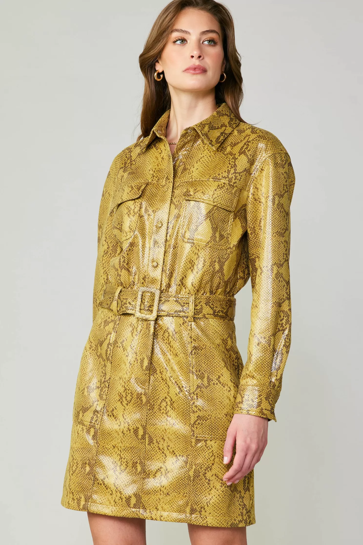 Flash Sale Snakeskin Shirt Dress Mini Dresses | Coats & Jackets