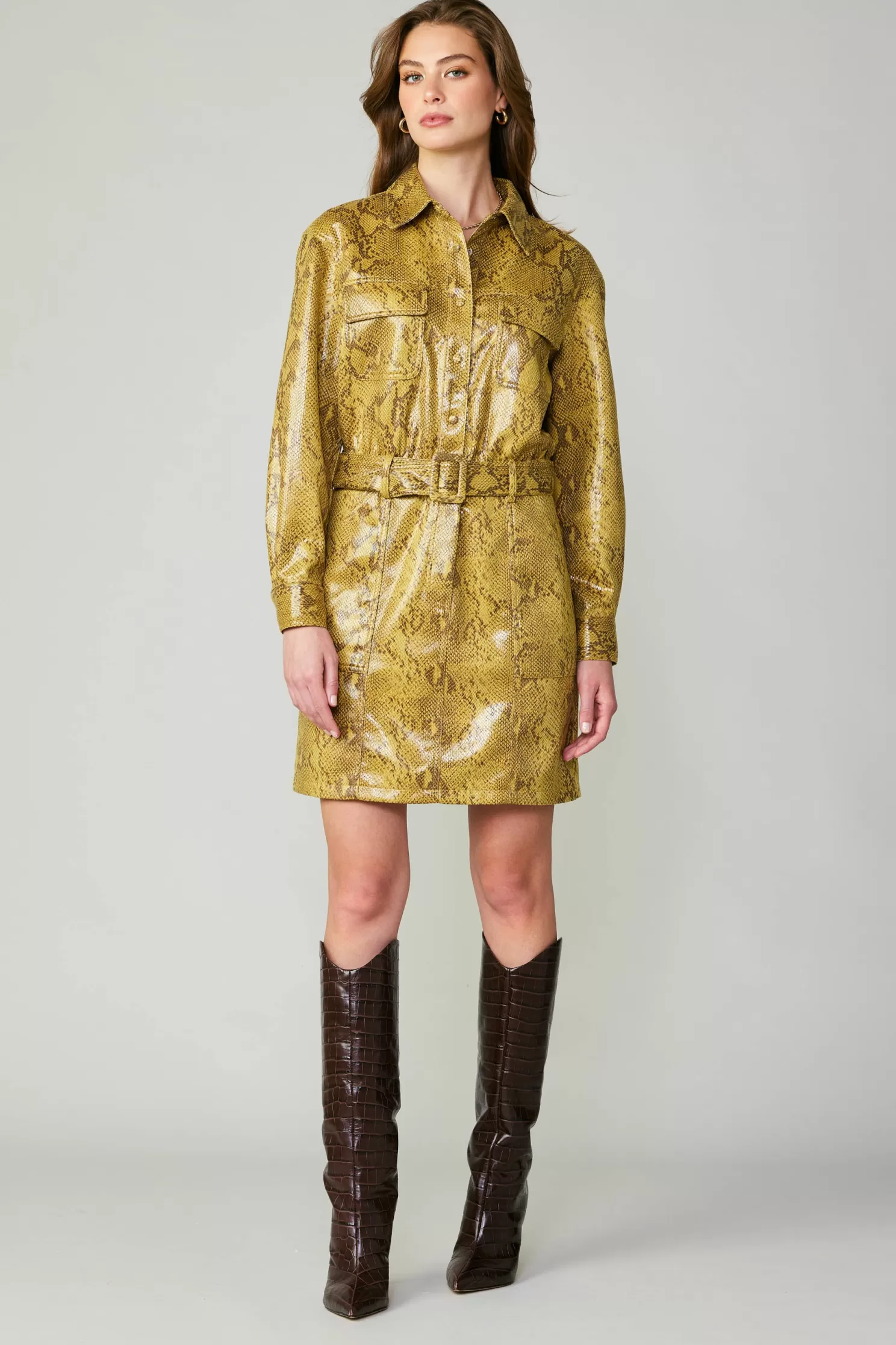 Flash Sale Snakeskin Shirt Dress Mini Dresses | Coats & Jackets