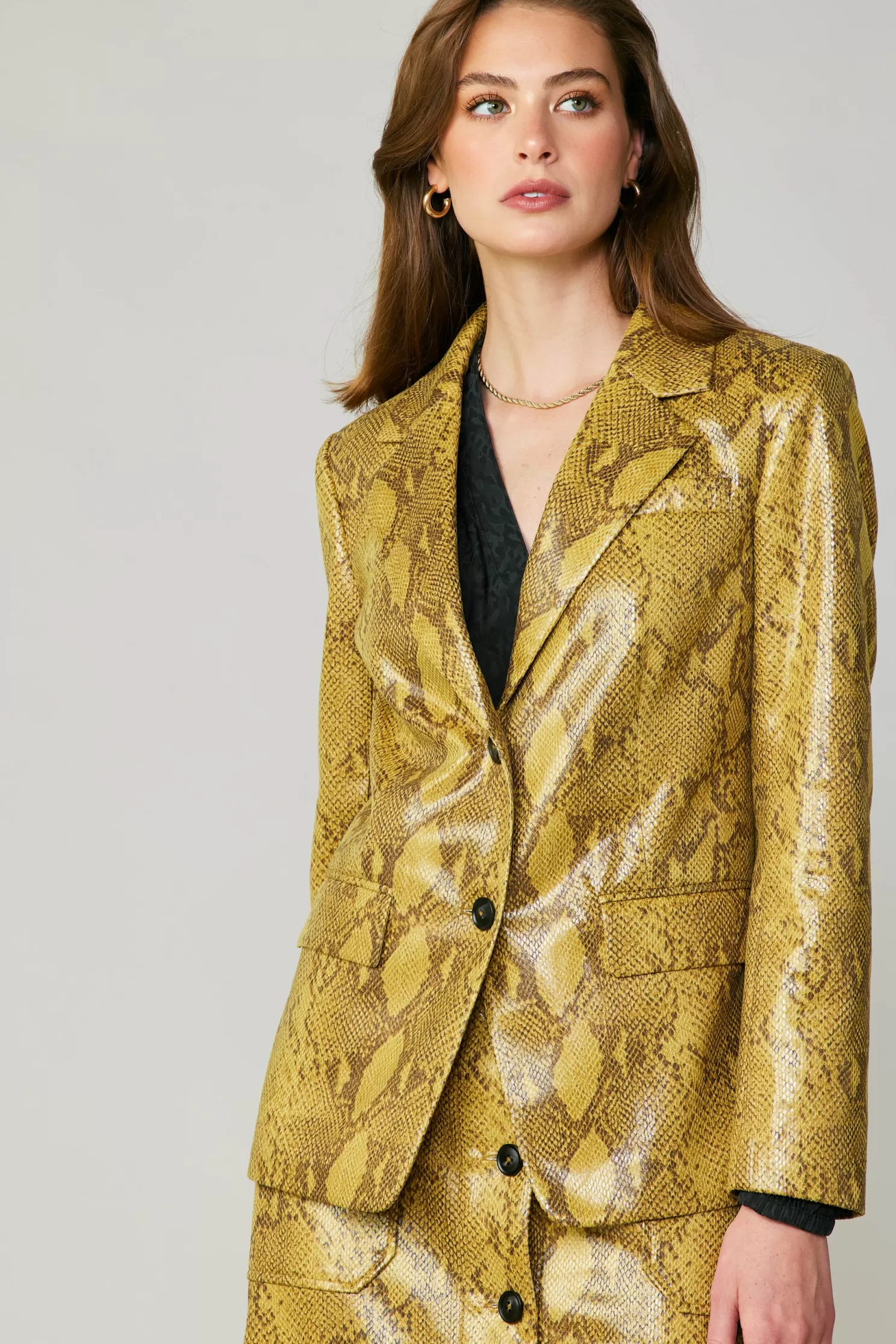 Shop Snakeskin Welt Pocket Blazer Sets | Outerwear