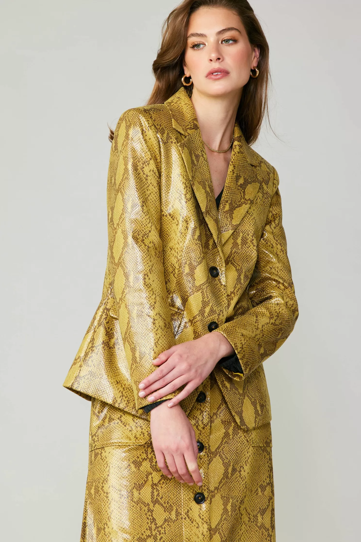 Shop Snakeskin Welt Pocket Blazer Sets | Outerwear